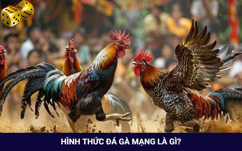 Hình thức đá gà mạng cực kỳ phổ biến hiện nay