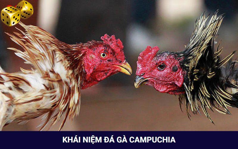 Tìm hiểu đá gà kiểu Campuchia là gì?