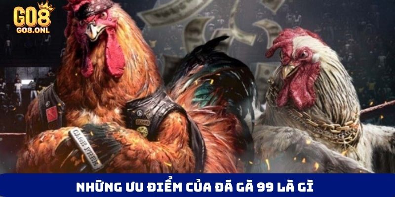 Những ưu điểm của đá gà 99 là gì
